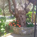 Zephyr Holiday home *