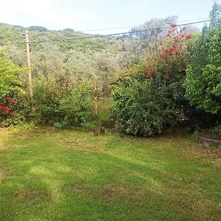 Zephyr Holiday home