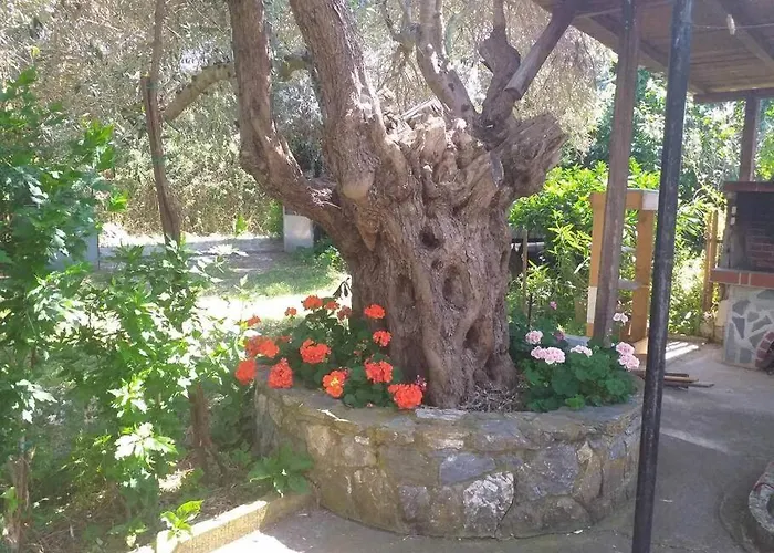 Zephyr Holiday home *